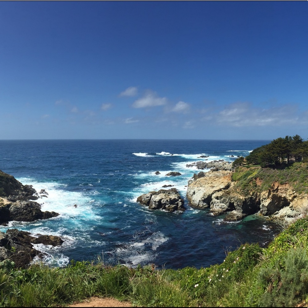 Meet your Posher, Mila